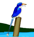 Fischereiverein Weisendorf